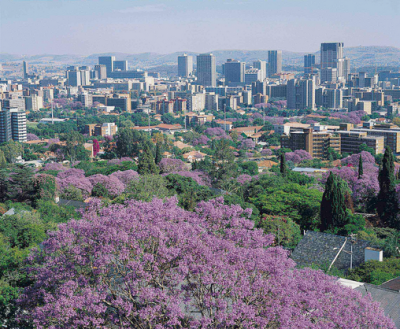 Skyline Pretoria